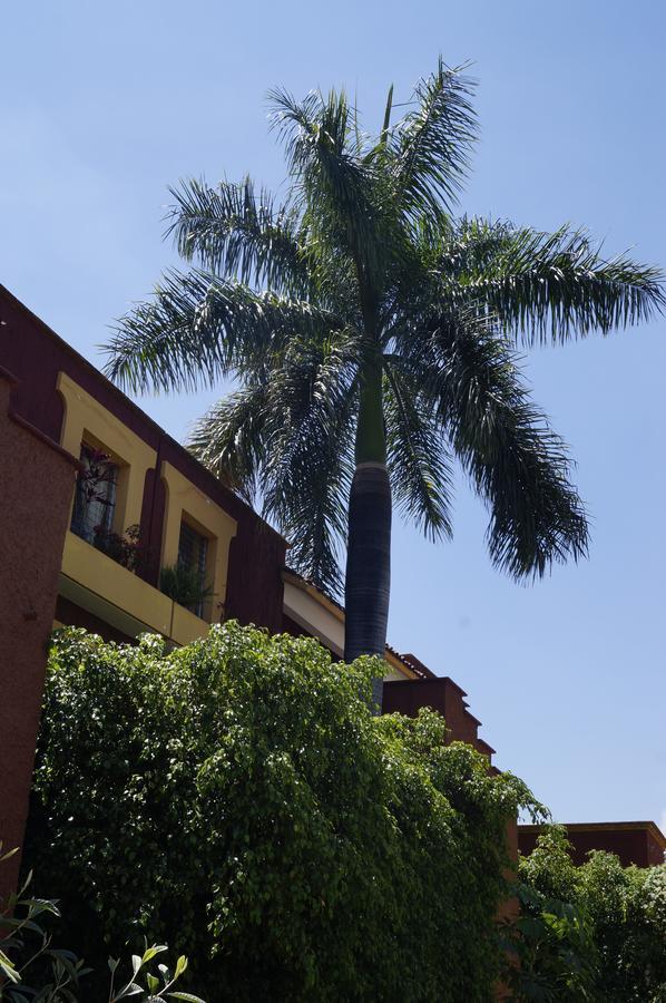 Suites Parador Santo Domingo De G. Oaxaca Экстерьер фото